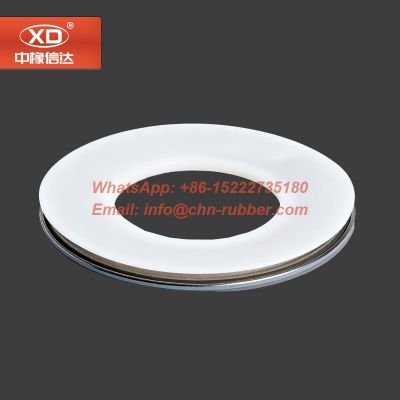 ePTFE gasket envelope